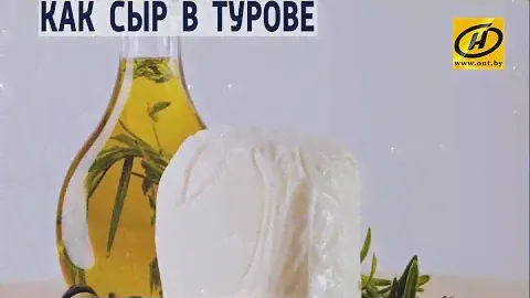 Контуры. Как сыр в Турове